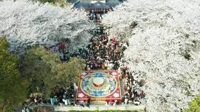 每日话题投票丨预计1月21日,贵州迎来2024年第一场雪,你想干点啥?